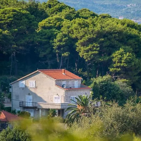 Apartment & Tapera- Comfort One-bedroom With Terrace And Garden View *