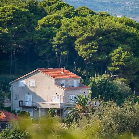 Apartment & Tapera- Comfort One-bedroom With Terrace And Garden View